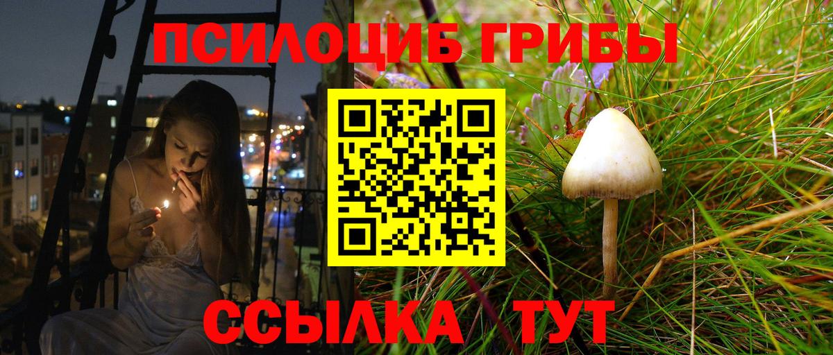 Набережные Челны  Псилоцибиновые грибы прущие грибы  Псилоцибиновые грибы ЛСД  Вход с VPN 