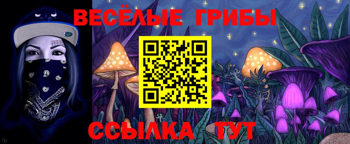Псилоцибиновые грибы Magic Shrooms Набережные Челны